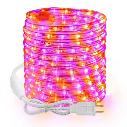 Brizled Halloween Rope Lights