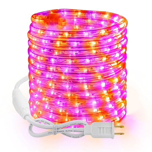Brizled Halloween Rope Lights